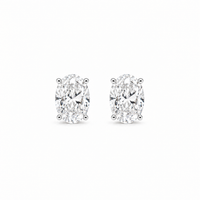 Martini Studs Oval Cut in 14k white gold